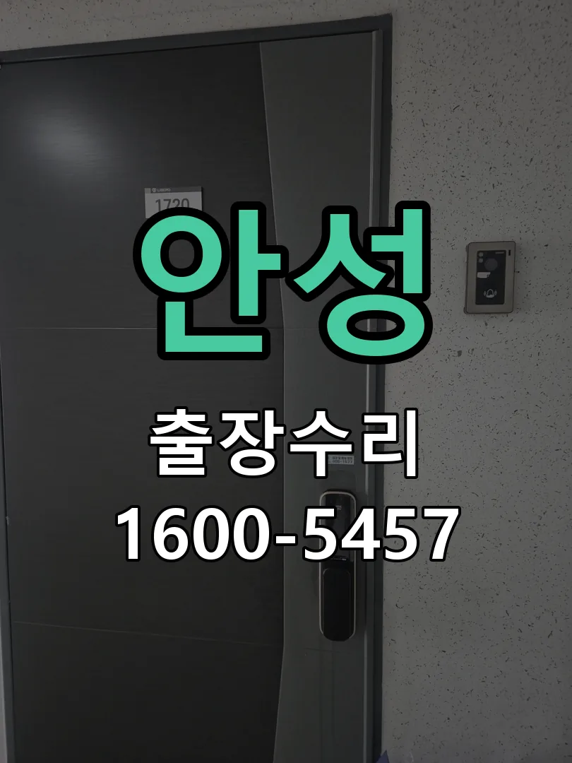 안성 배선·접점 정리