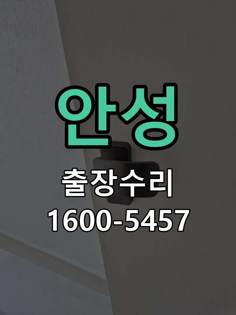 안성 도어락 열쇠 출장 수리