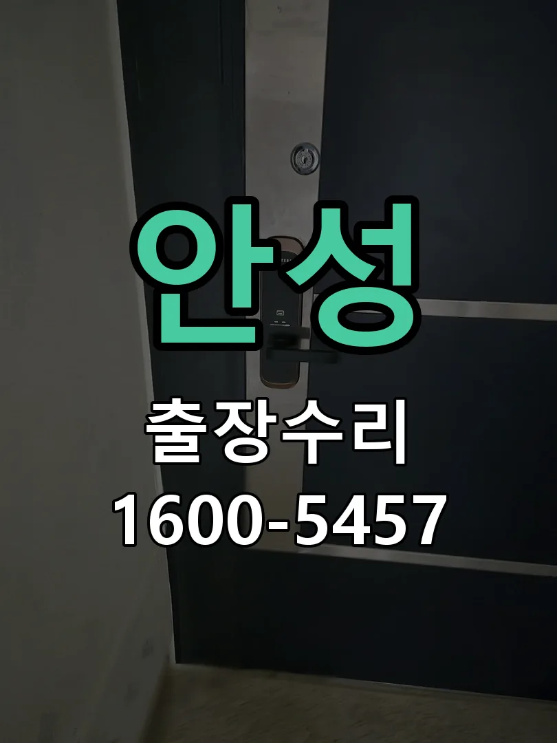 안성 배선·접점 정리