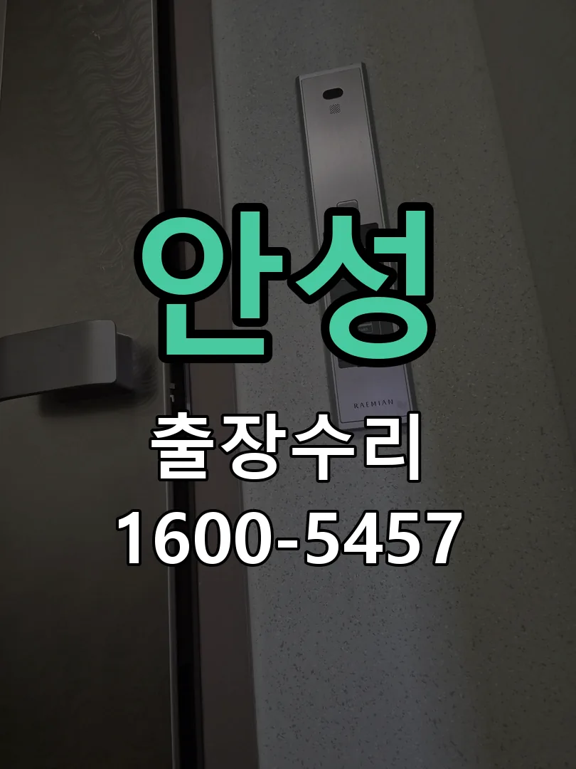 안성 잠금장치 동작 확인