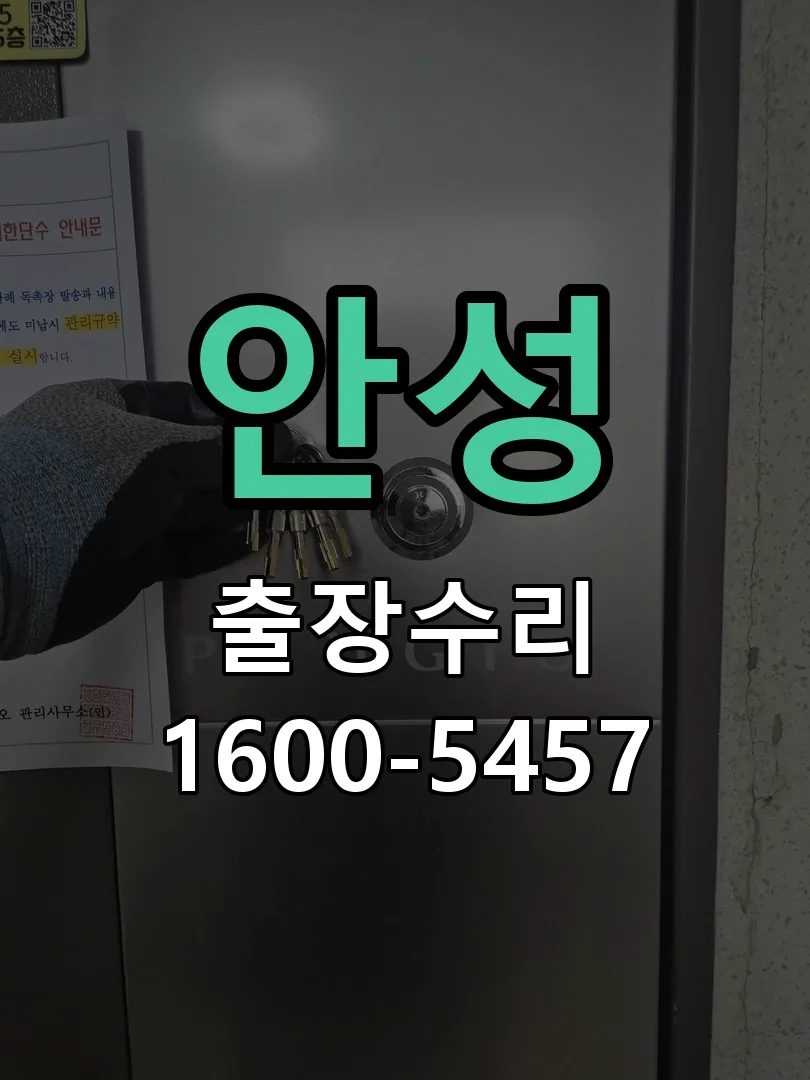 안성 배선·접점 정리