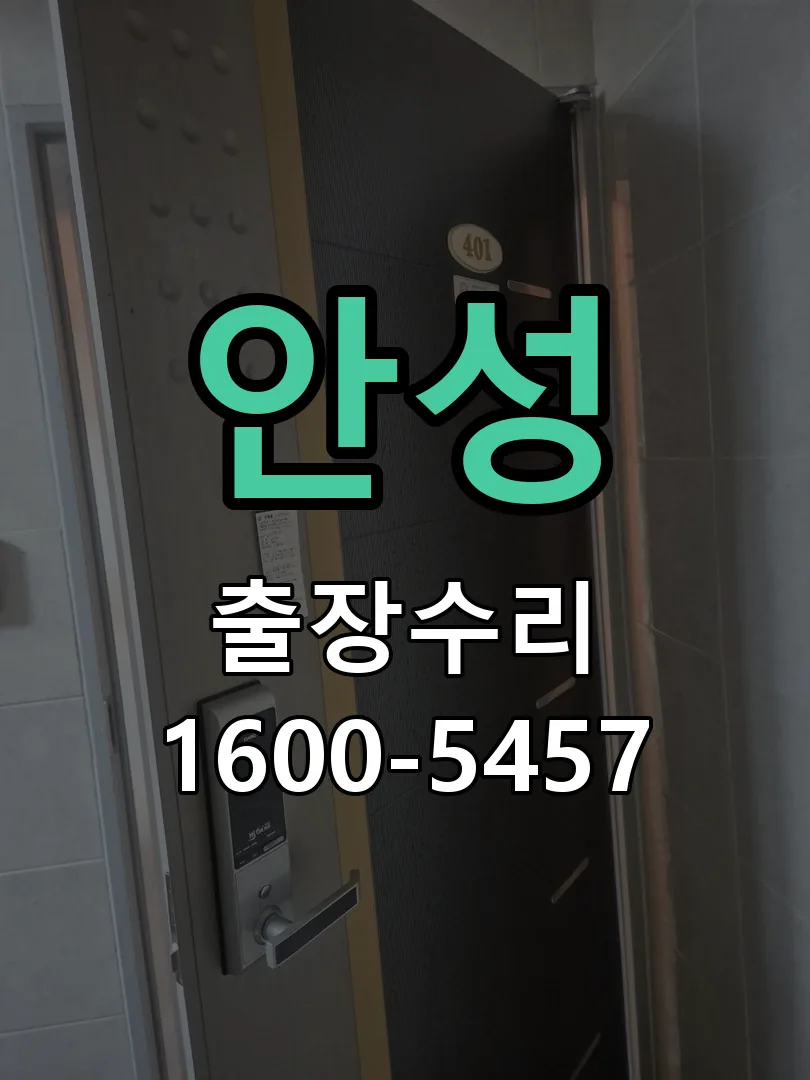 안성 잠금장치 동작 확인