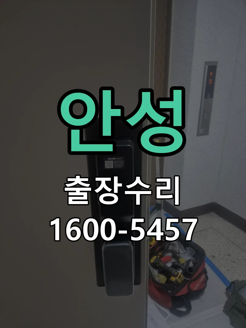 안성 배선·접점 정리