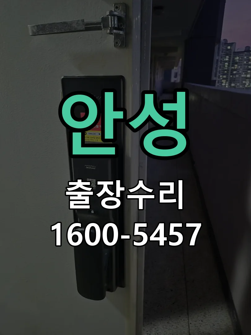 안성 잠금장치 동작 확인