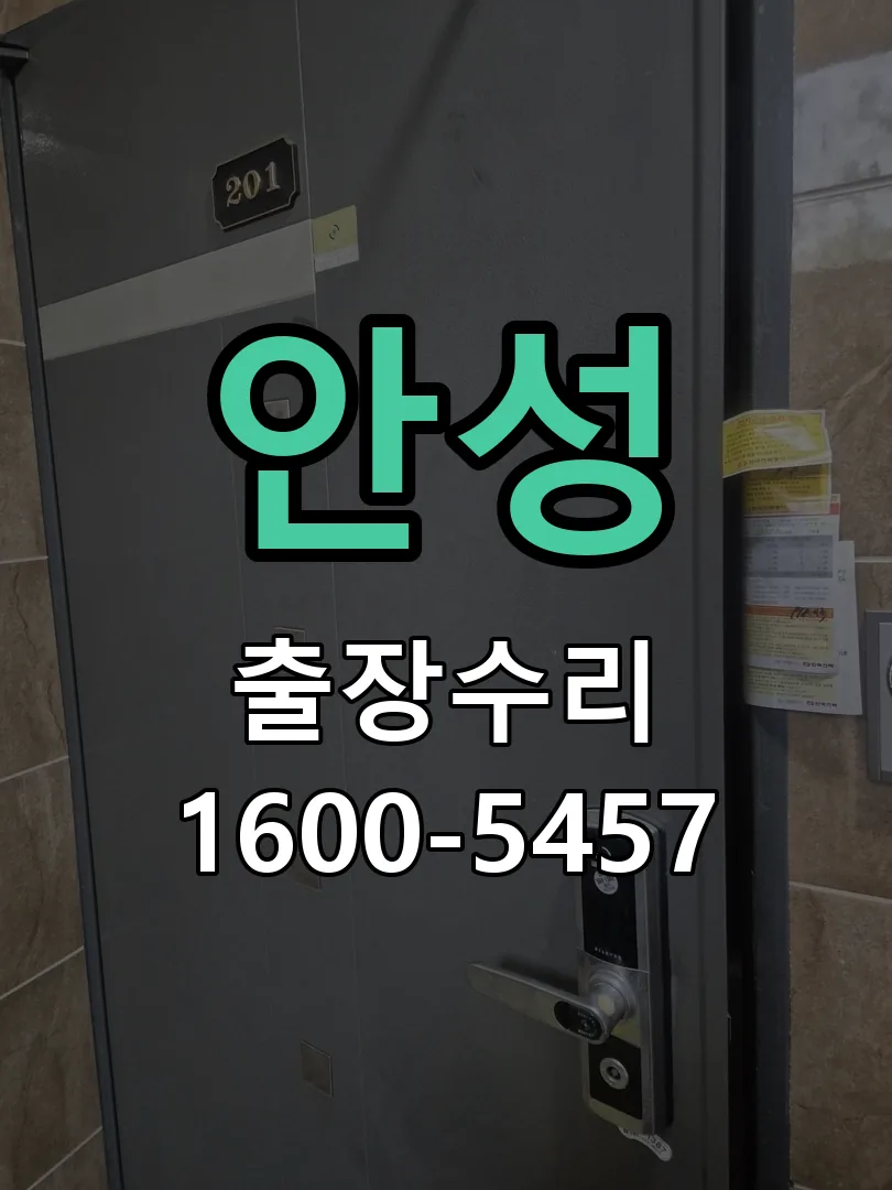 안성 배선·접점 정리