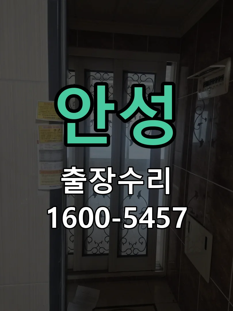 안성 잠금장치 동작 확인