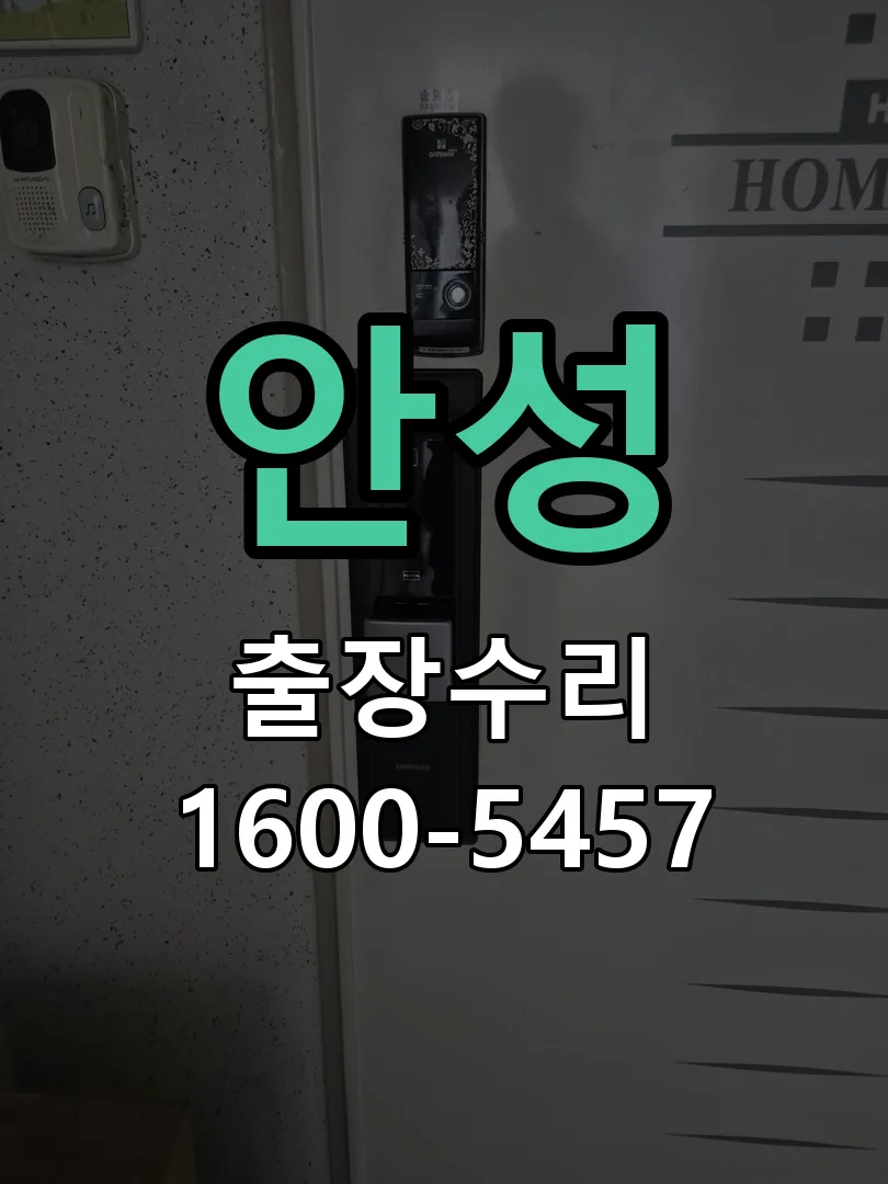 안성 배선·접점 정리