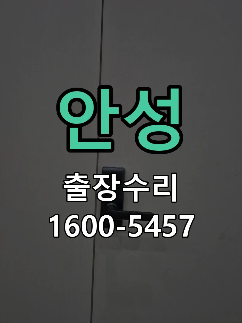 안성 잠금장치 동작 확인