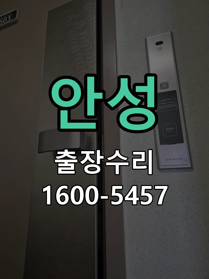 안성 도어락 열쇠 출장 수리