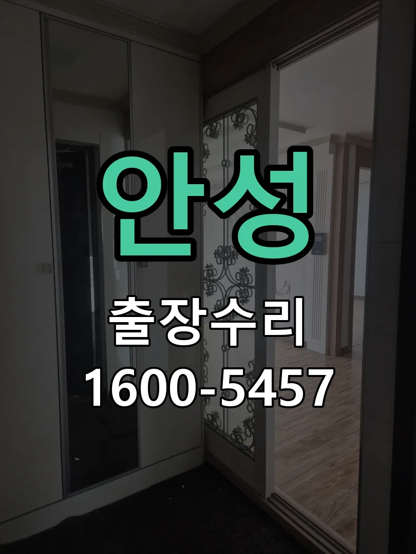 안성 잠금장치 동작 확인