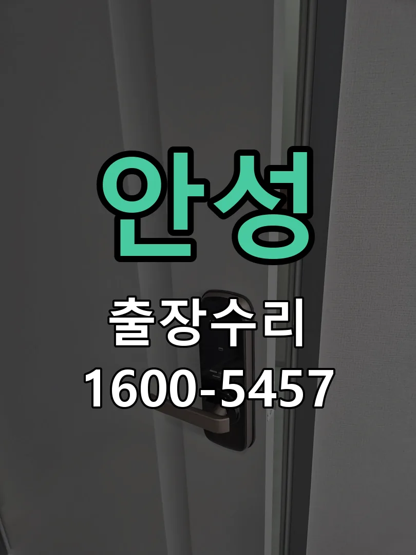 안성 잠금장치 동작 확인