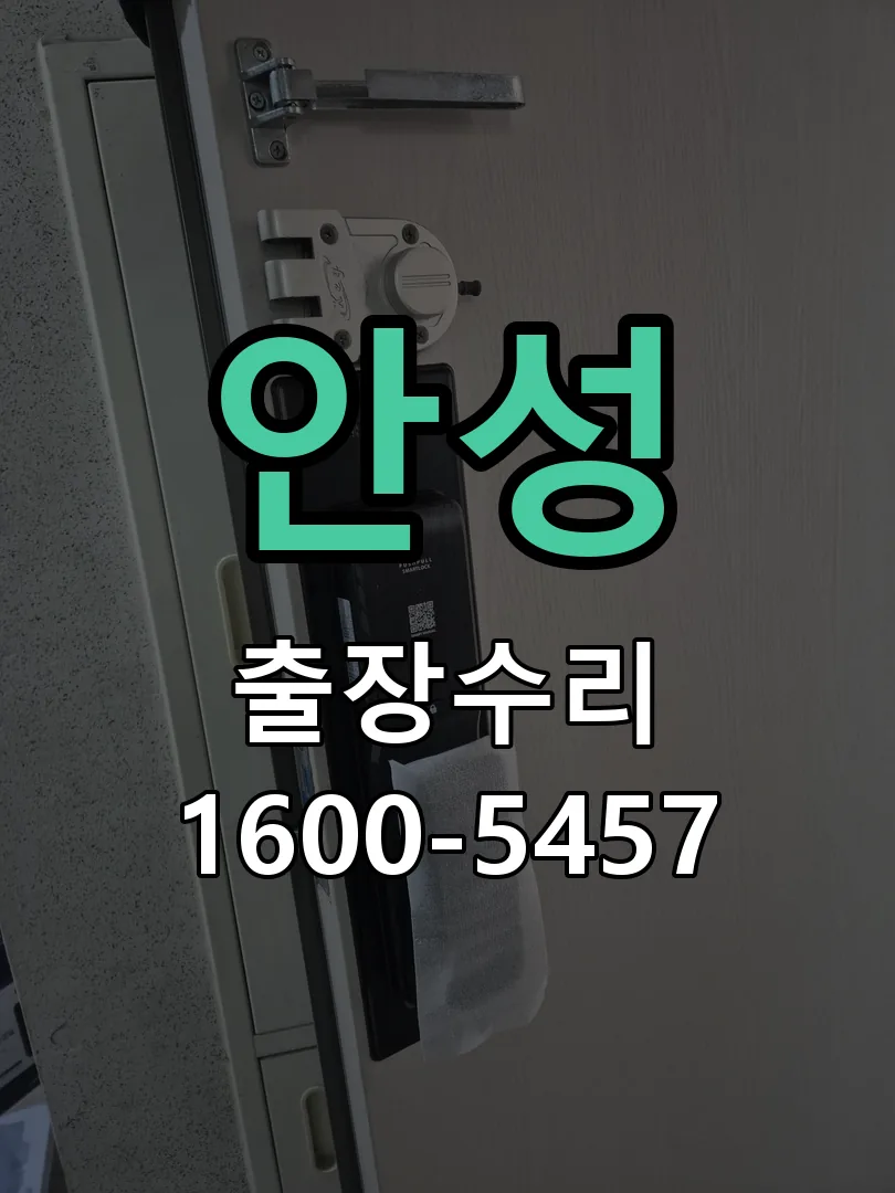 안성 잠금장치 동작 확인
