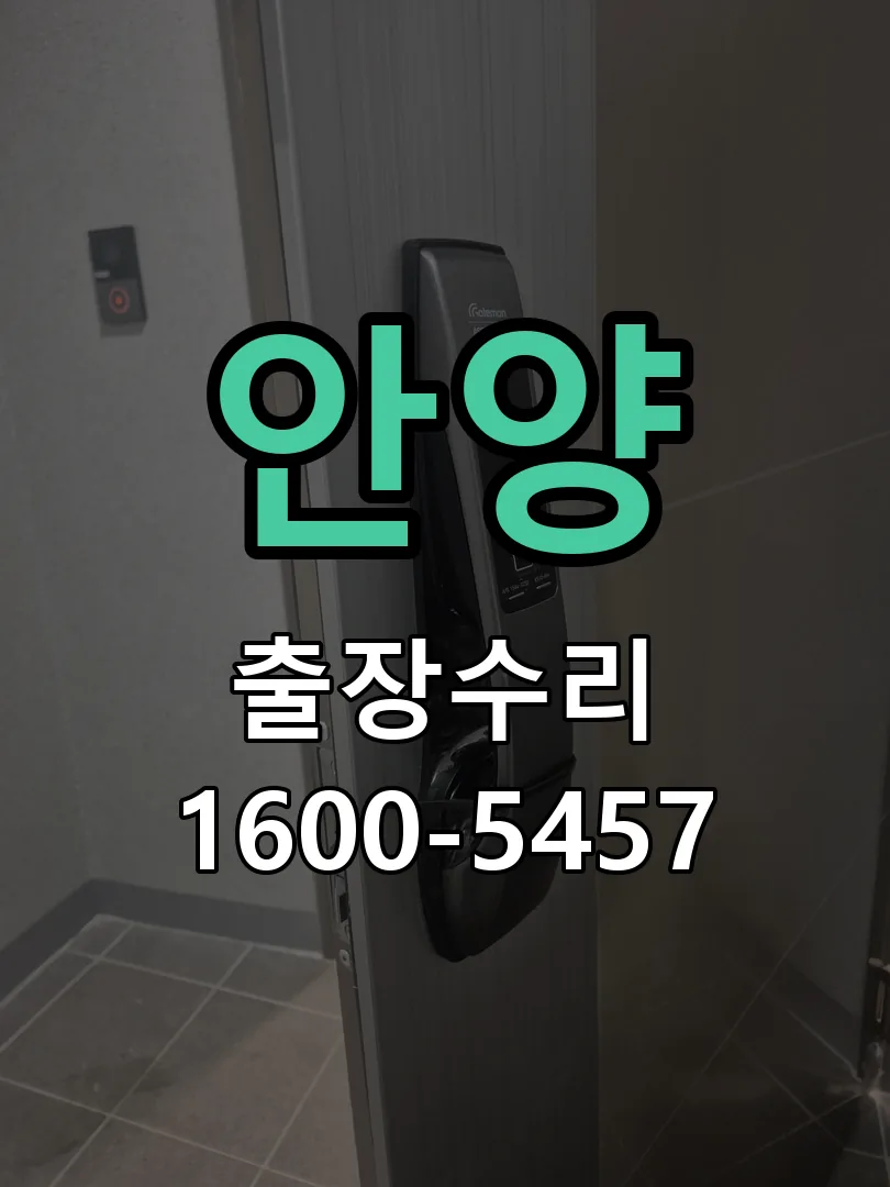안양 배선·접점 정리