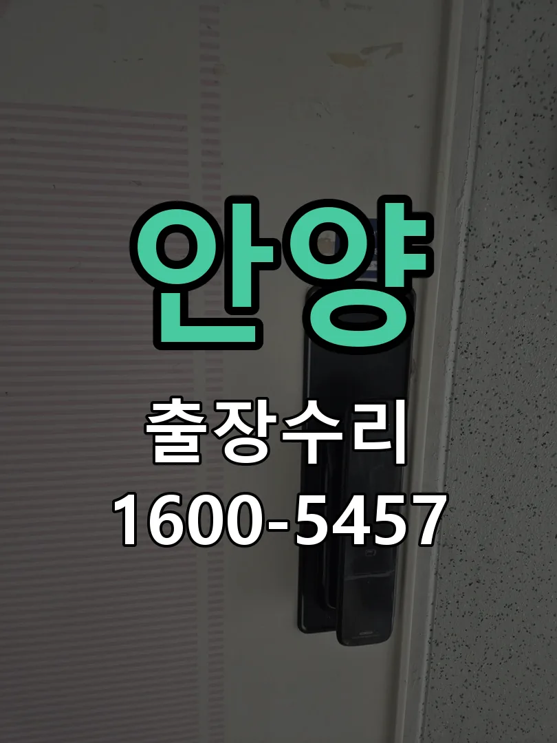 안양 도어락 열쇠 출장 수리