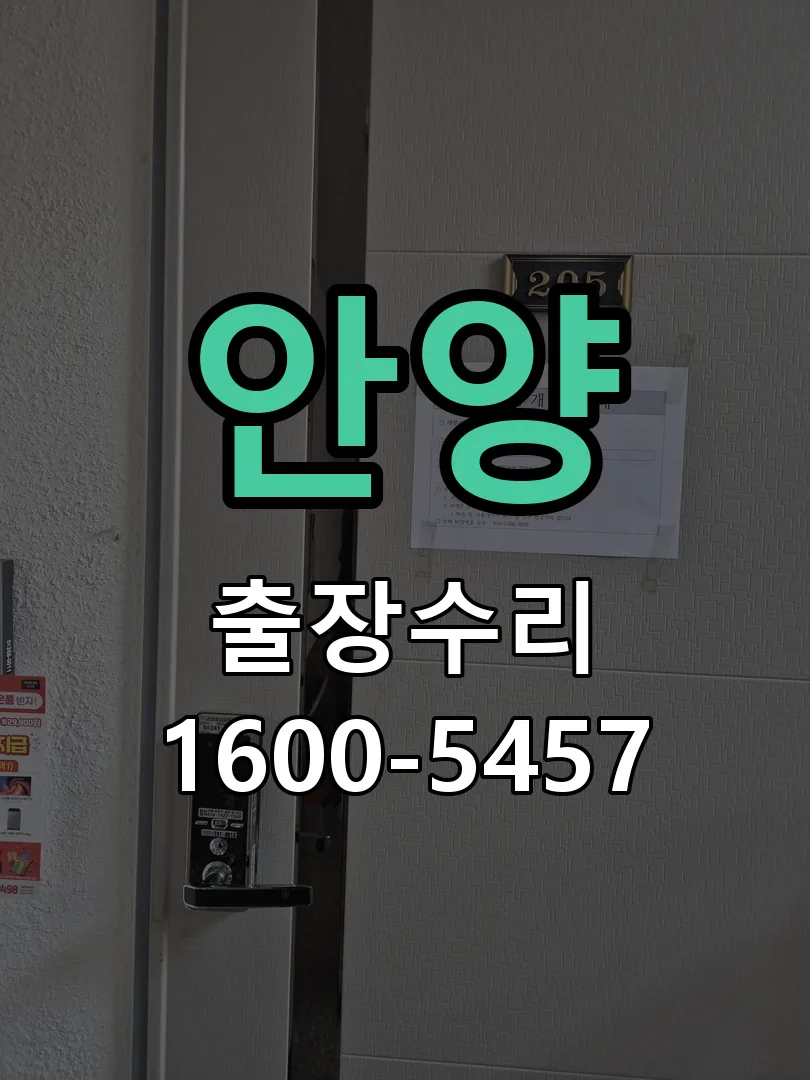 안양 잠금장치 동작 확인