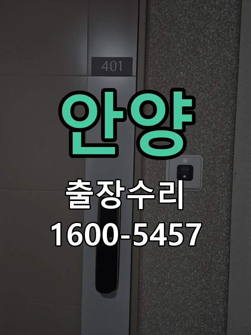 안양 잠금장치 동작 확인