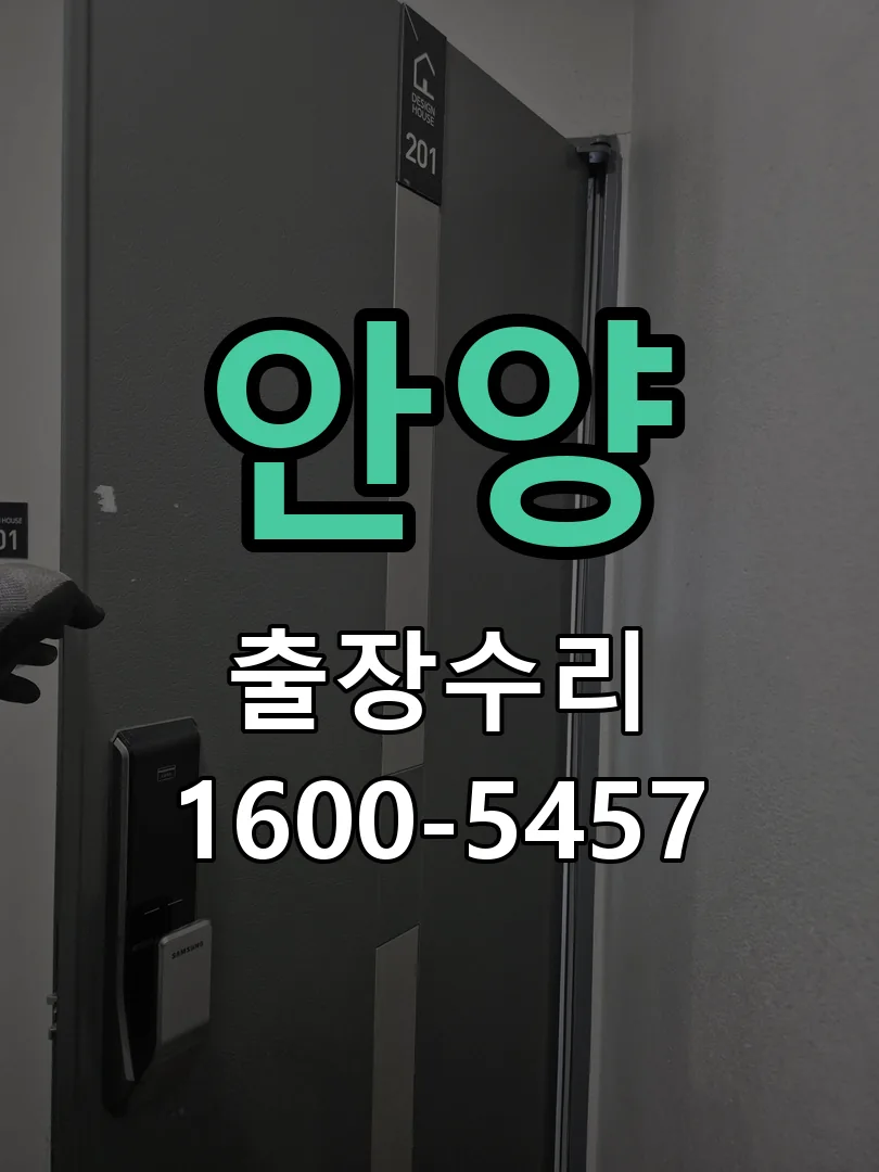 안양 잠금장치 동작 확인
