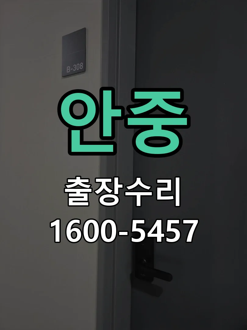 경기 도어락 열쇠 출장 수리