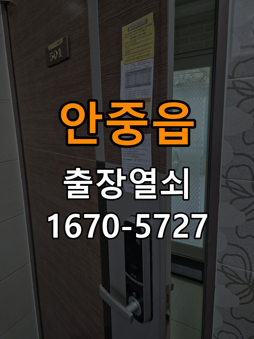 안중읍 현관문 보조키 열쇠 분실 키통 교체 도어락 위의 특수 보조키 열쇠를 잃어버려 문을 열지 못함 현장 출장