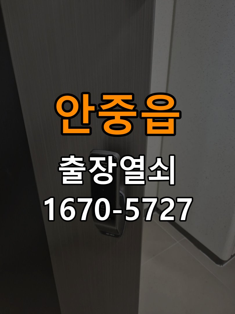 안중읍 현관문 보조키 열쇠 분실 키통 교체 특수 딤플키 실린더 보조키 교체 정밀 점검 및 교체