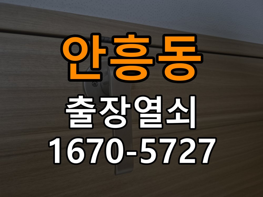 안흥동 현관문 보조키 열쇠 분실 키통 교체 작업 완료 후 정상 작동 확인
