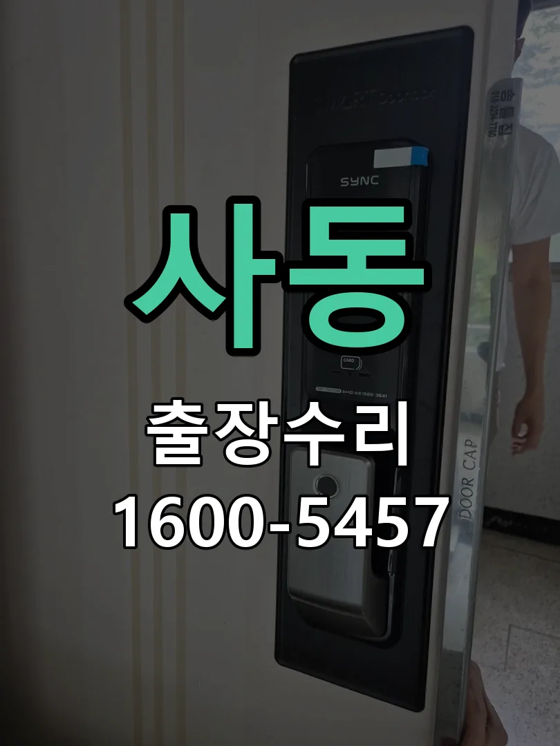 사동 배선·접점 정리