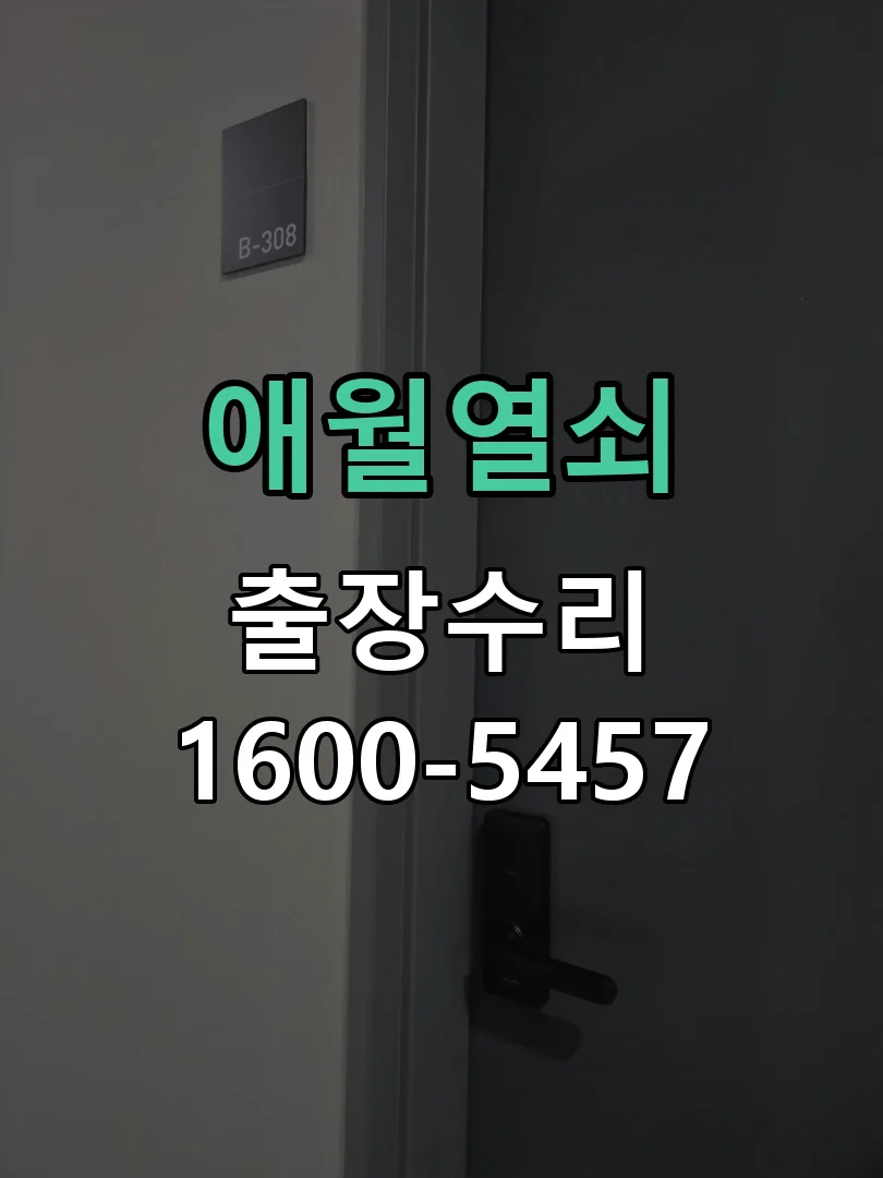 경기 도어락 열쇠 출장 수리