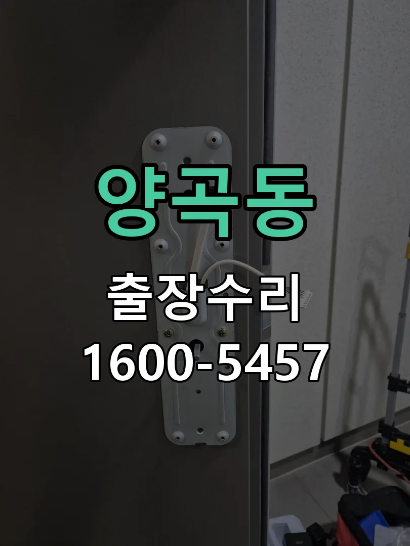 양곡동 현장 도착 후 상태 확인