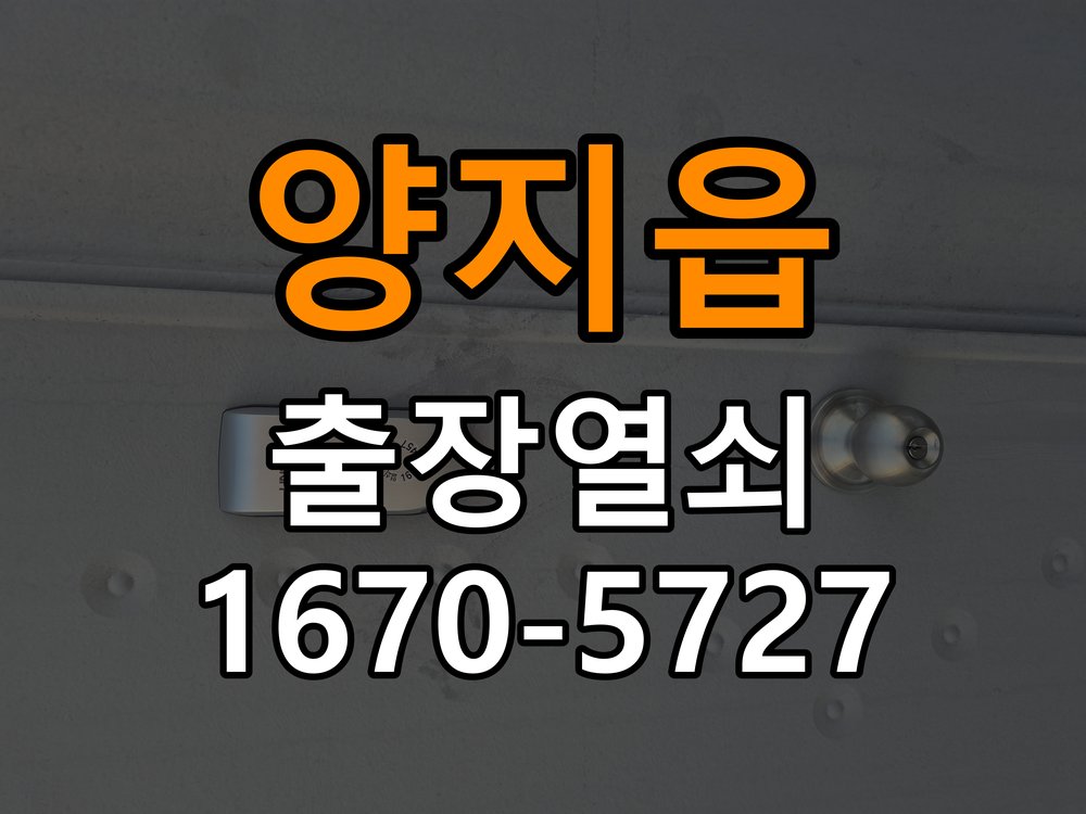 양지읍 열쇠 부러짐 키 실린더 교체 정밀 핀 실린더 뭉치 및 열쇠 3개 세트 정밀 점검 및 교체