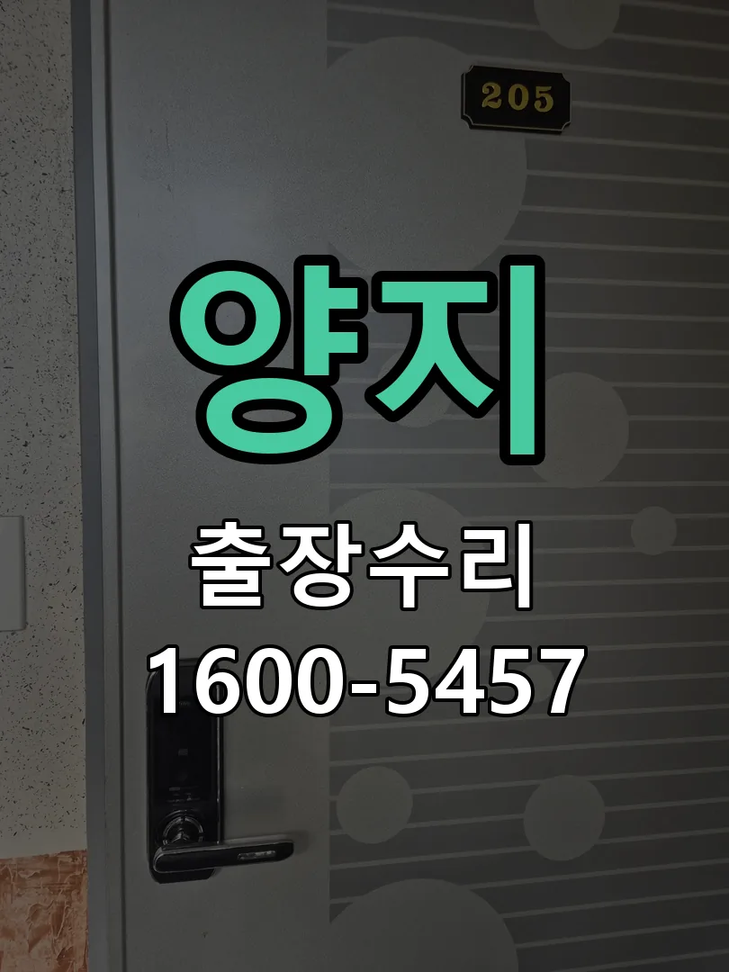 경기 도어락 열쇠 출장 수리