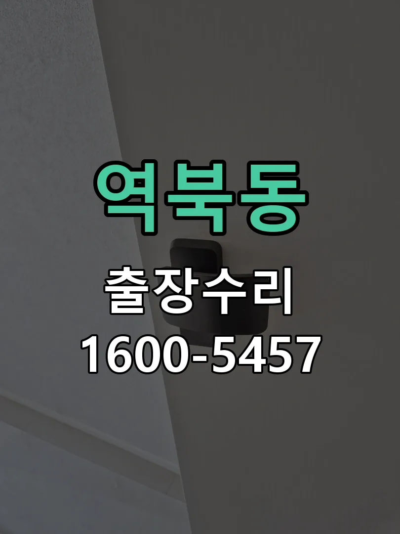 역북동 열쇠가 헛돌고 잠금이 되지 않음 배선·접점 정리