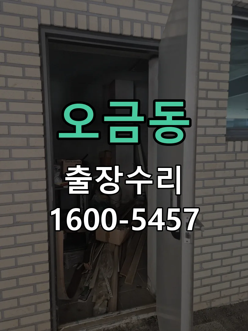 오금동 도어락 열쇠 출장 수리