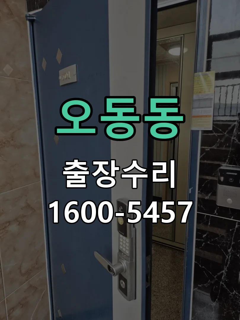 오동동 도어락 열쇠 출장 수리