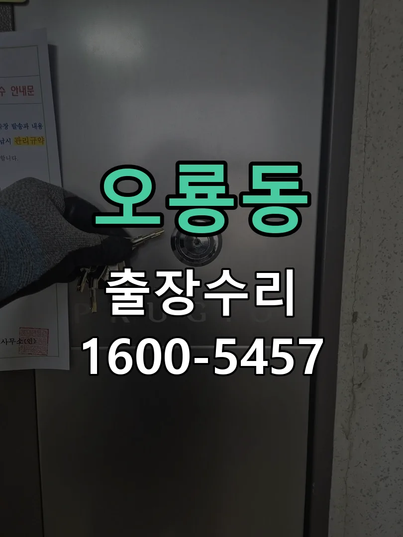 오룡동 배선·접점 정리