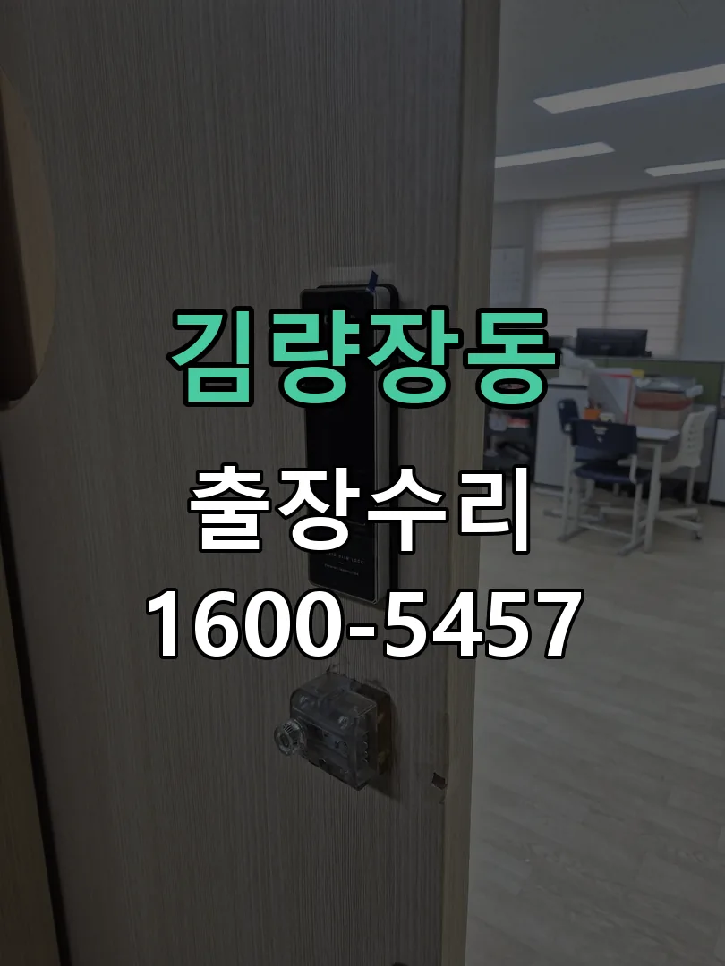 김량장동 도어락 열쇠 출장 수리