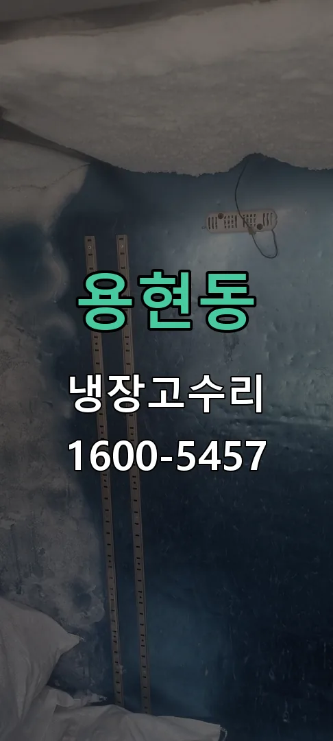 용현동 업소용 냉장고 수리 출장