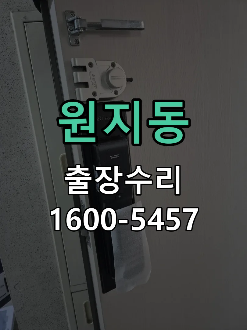원지동 현장 도착 후 상태 확인
