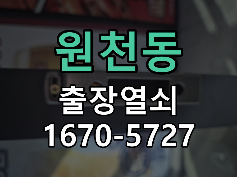 원천동 도어락 경고음 삐삐삐 울릴때 조치법 문이 닫힌 뒤에도 삐삐삐 경고음이 수 초 간격으로 연속 발생 현장 출장
