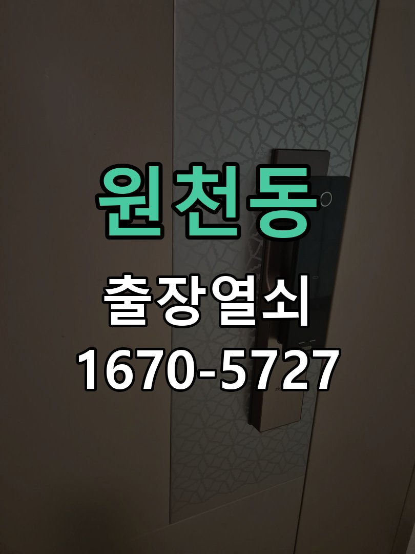 원천동 도어락 경고음 삐삐삐 울릴때 조치법 스트라이커 가이드 위치 재조정 및 데드볼트 연마 정비 정밀 점검 및 교체