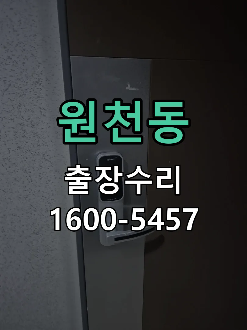 원천동 잠금장치 동작 확인