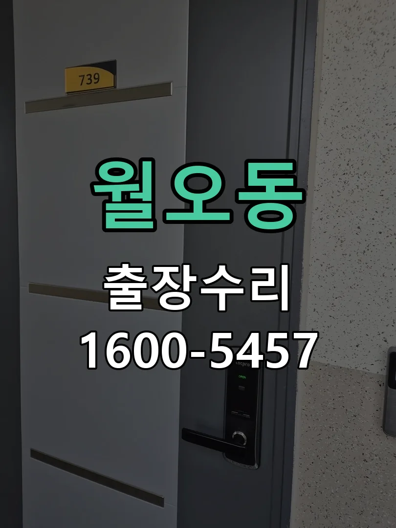 월오동 도어락 열쇠 출장 수리