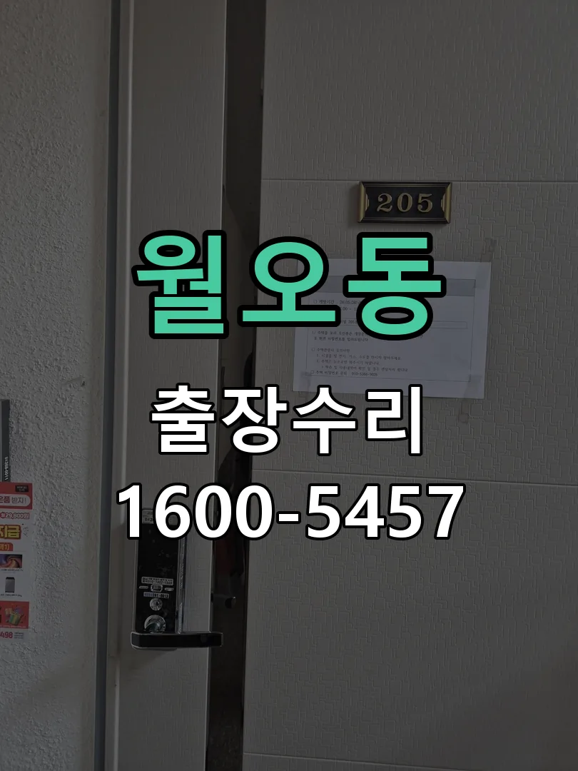 월오동 현장 도착 후 상태 확인