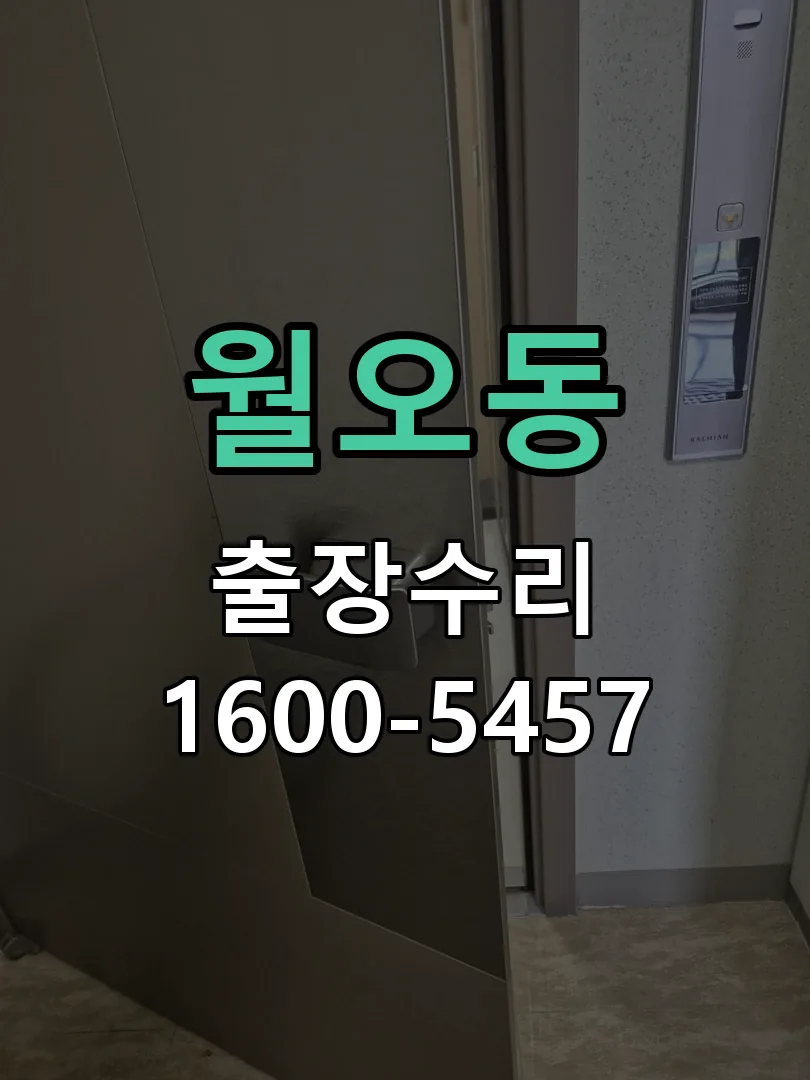월오동 교체 작업 진행
