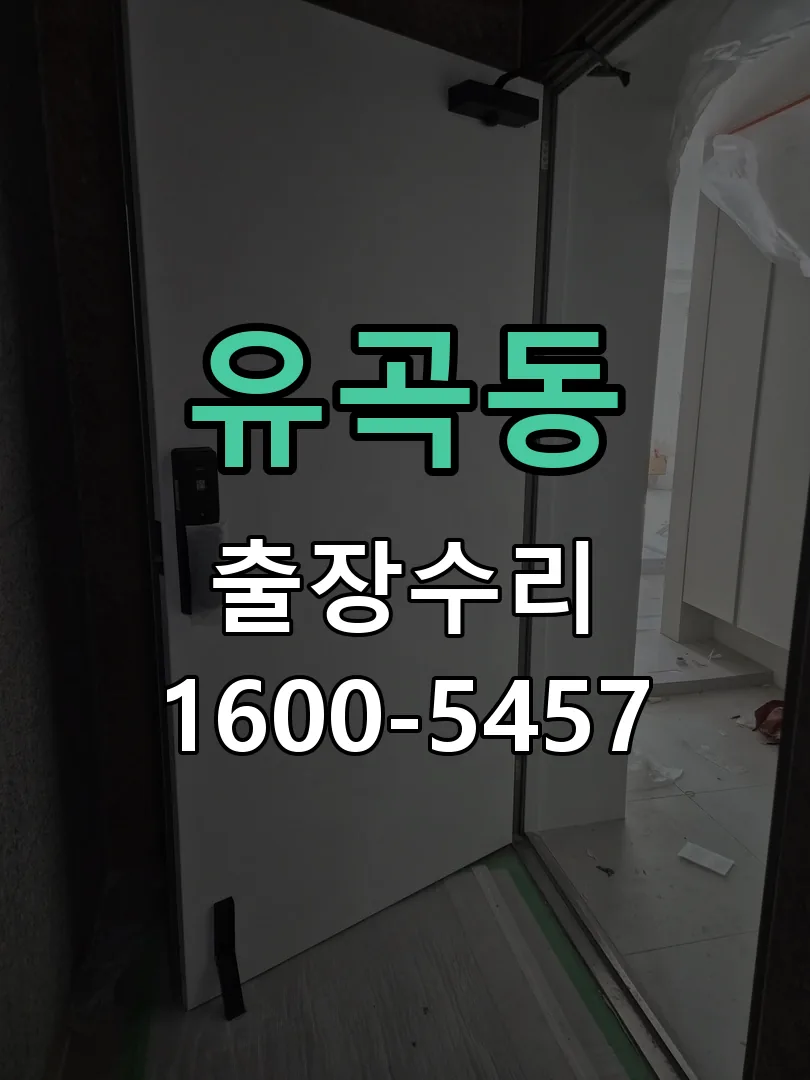 유곡동 잠금장치 동작 확인