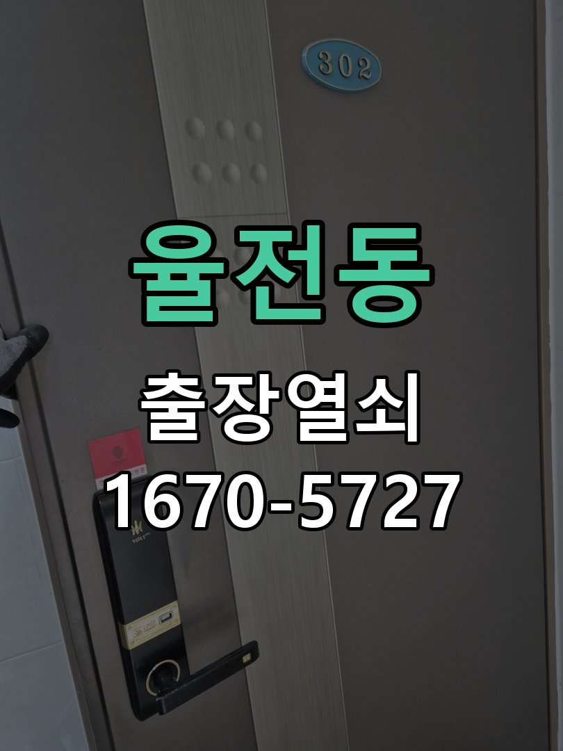 율전동 도어락 건전지 누액 단자 부식 청소 및 수리 부식 단자 화학 세척 및 스프링 전원 접점 재생 정밀 점검 및 교체