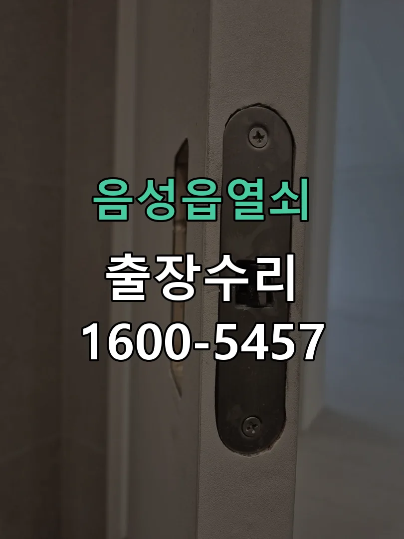 경기 도어락 열쇠 출장 수리