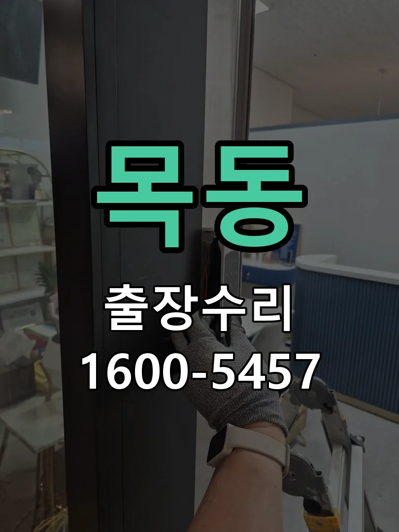 목동 배선·접점 정리