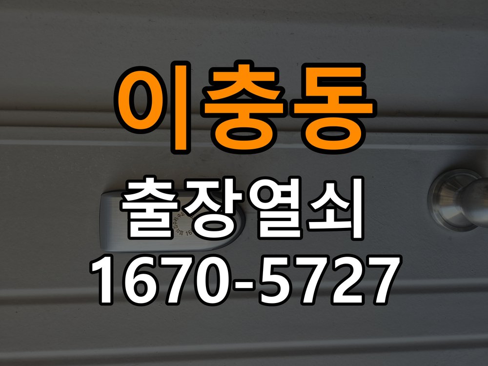 이충동 현관문 보조키 열쇠 분실 키통 교체 특수 딤플키 실린더 보조키 교체 정밀 점검 및 교체