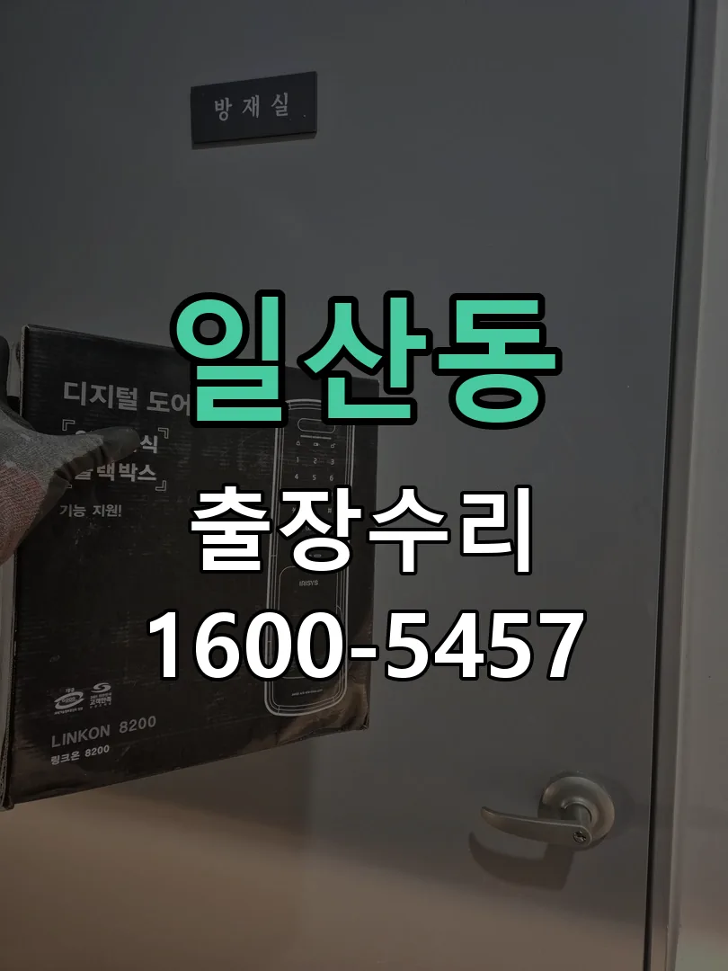 일산동 도어락 열쇠 출장 수리