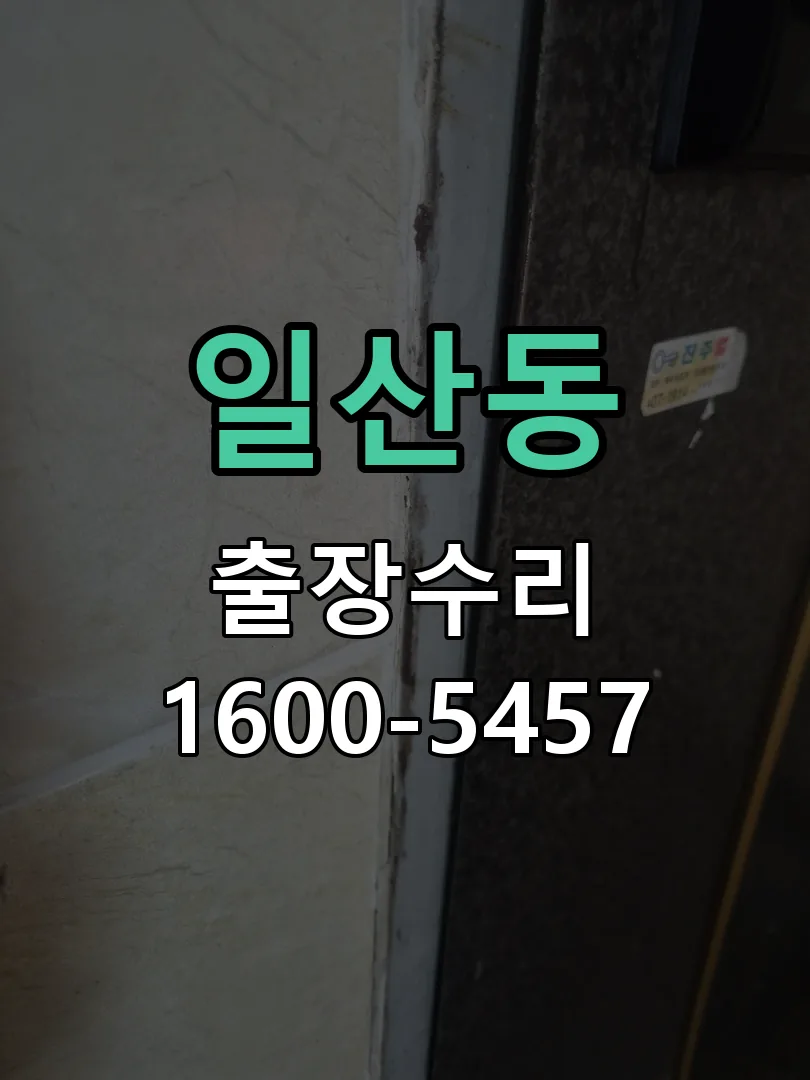 일산동 현장 도착 후 상태 확인